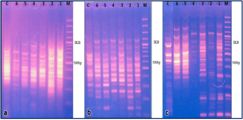 Figure 4