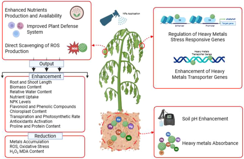 Figure 1