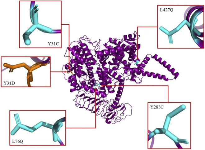 FIGURE 2