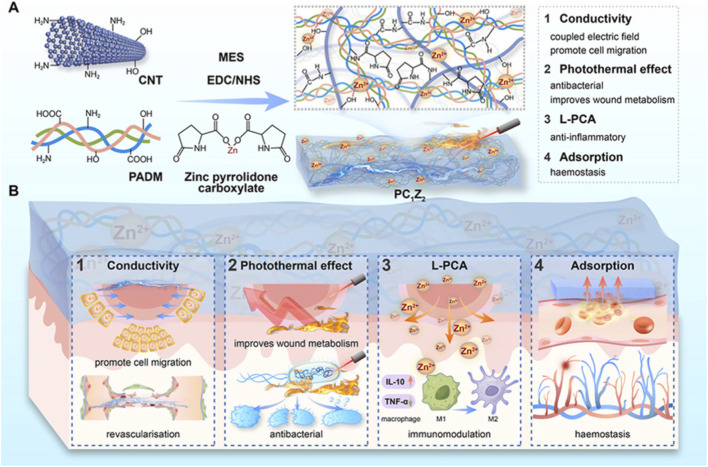 FIGURE 4