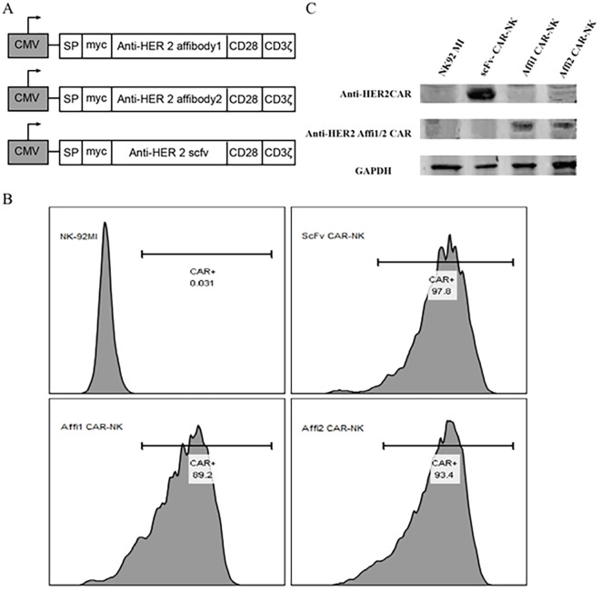 Figure 2
