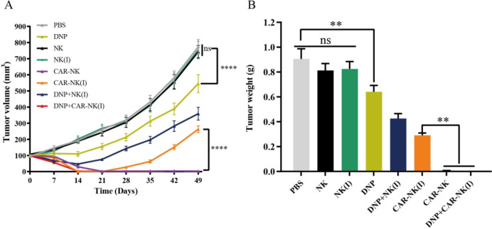 Figure 7