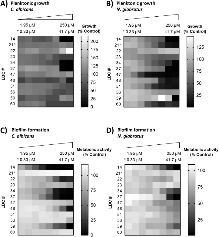 Figure 2