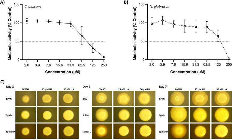 Figure 4