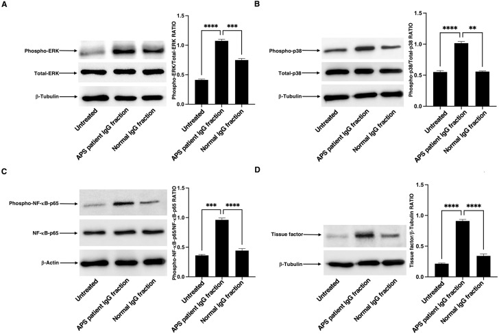 Figure 4