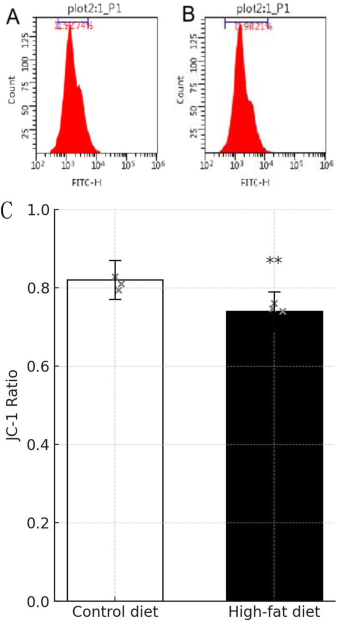 FIGURE 11