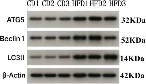 FIGURE 15