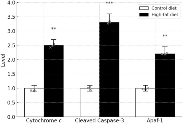 FIGURE 17