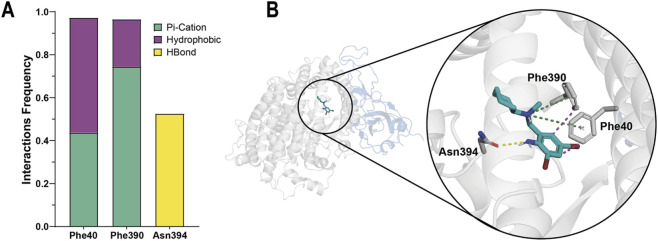 FIGURE 6