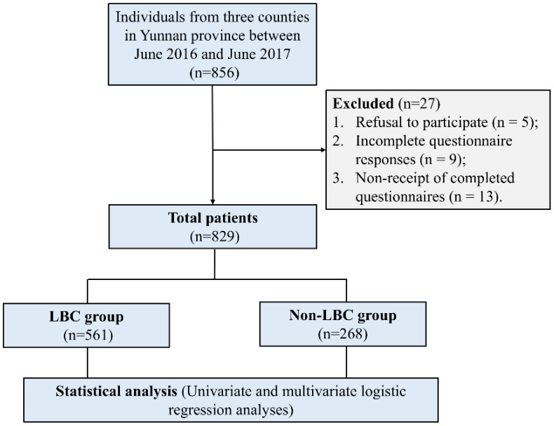 Figure 1