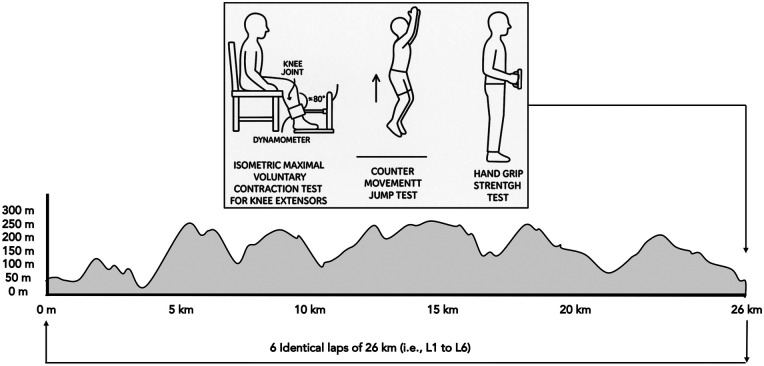 Figure 1
