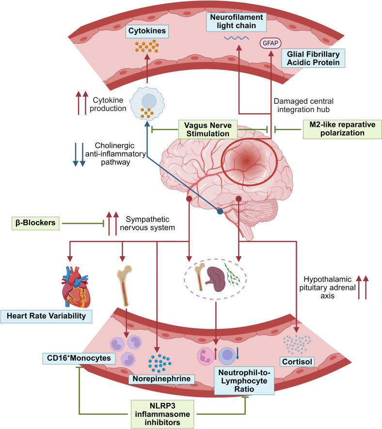 Figure 3