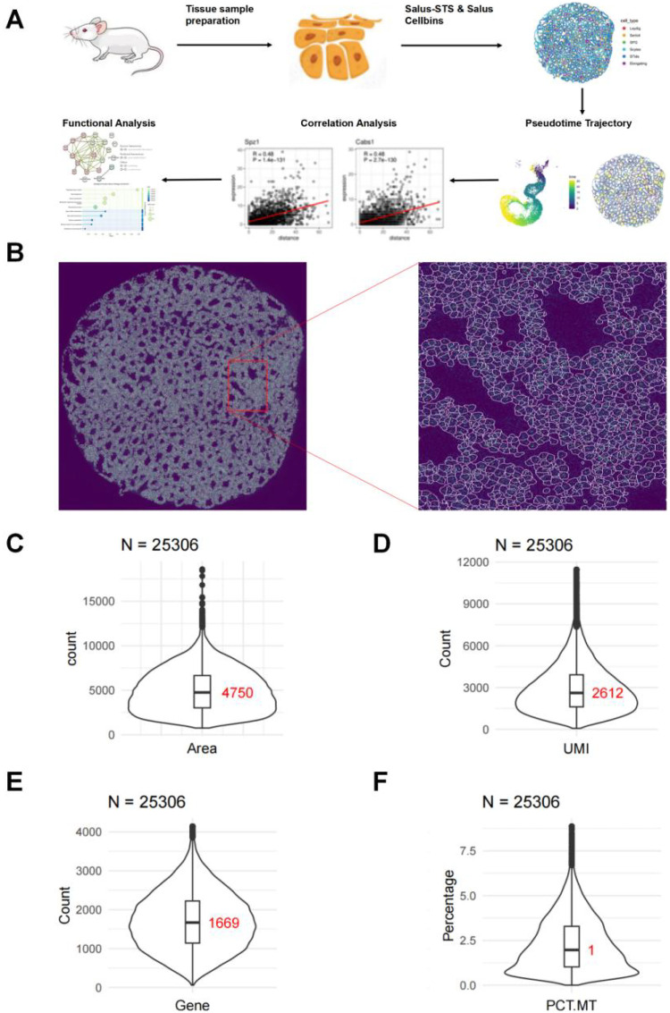 Figure 1