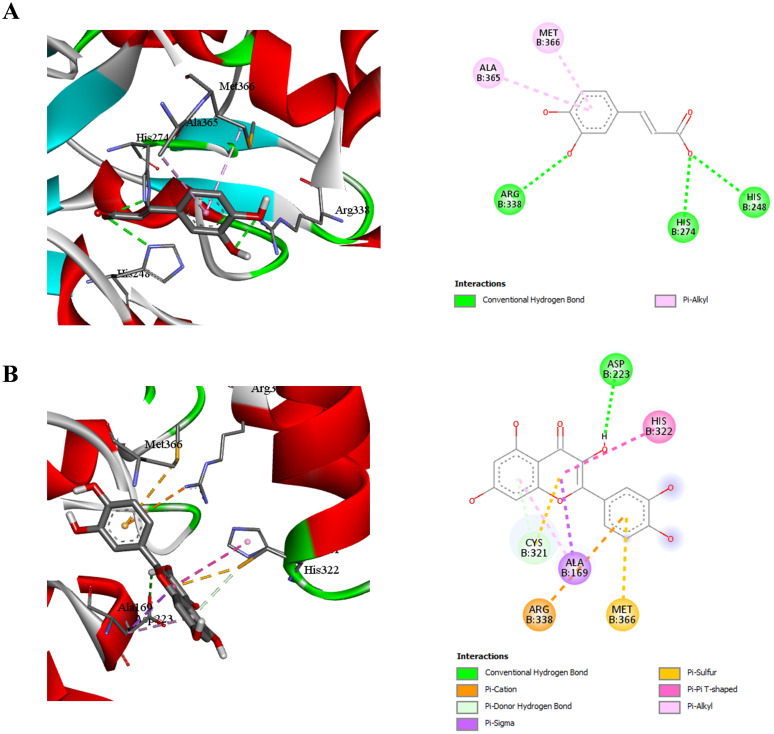 Figure 6