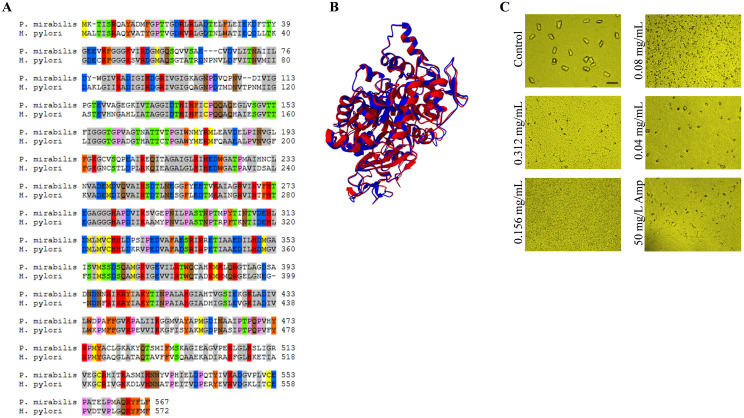 Figure 7