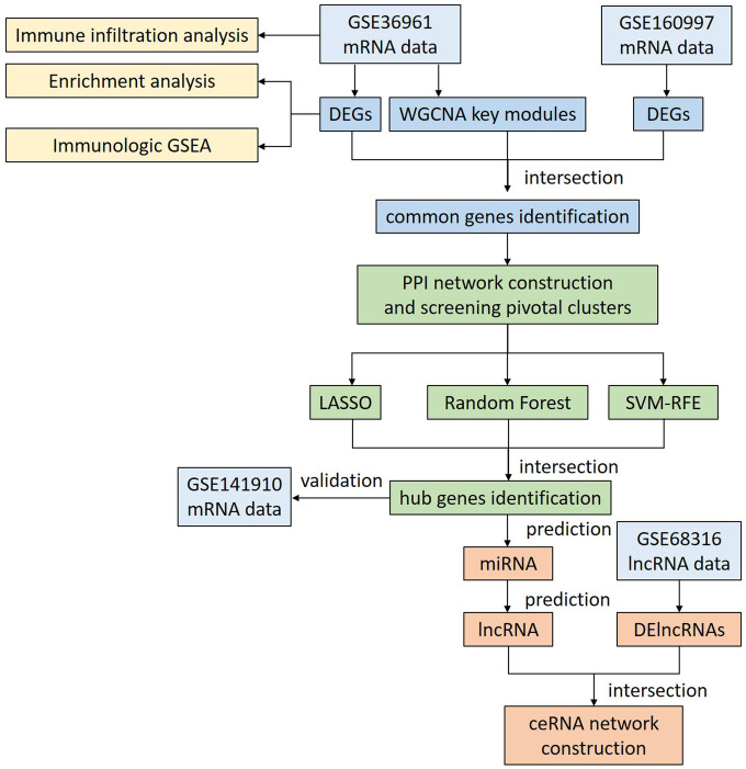 Figure 1