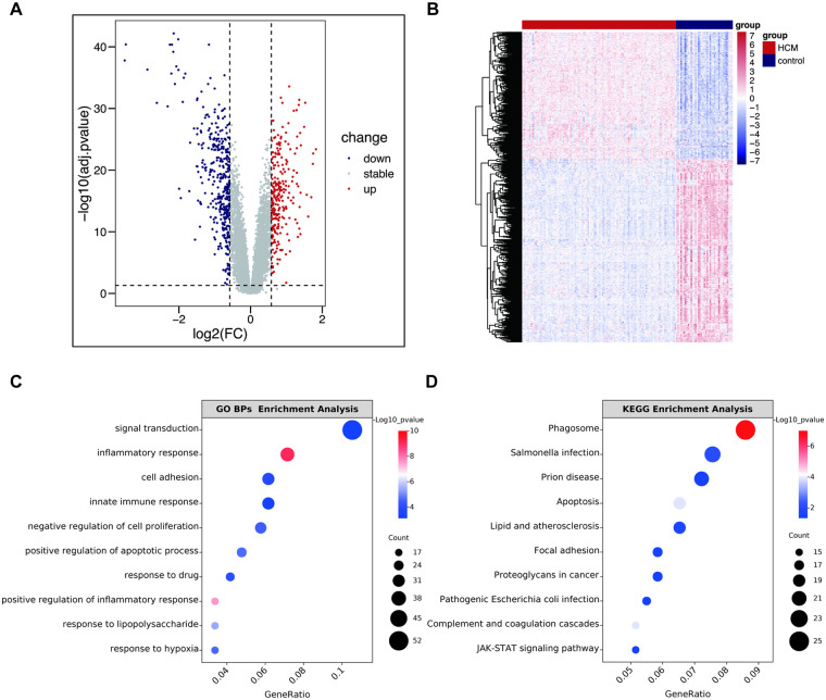 Figure 2