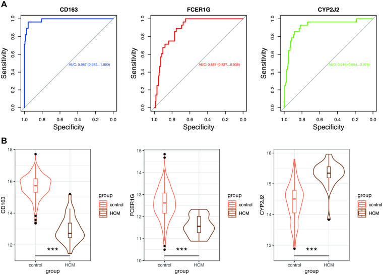 Figure 6