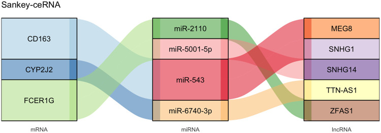 Figure 7