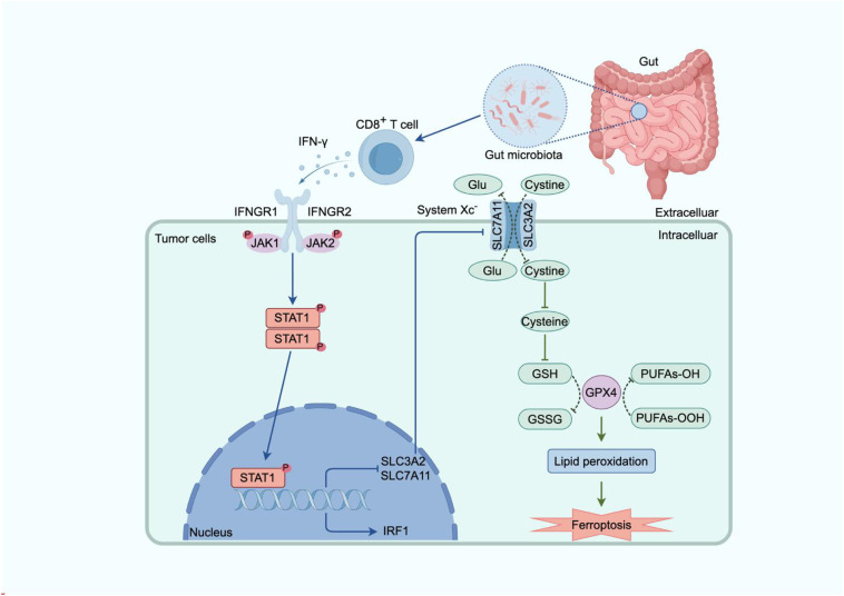 Figure 2