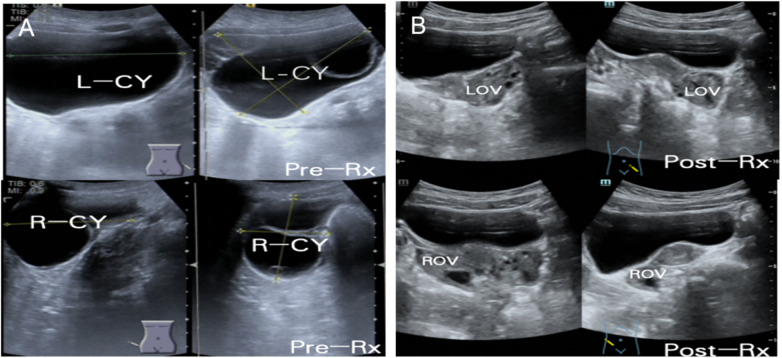 Figure 5