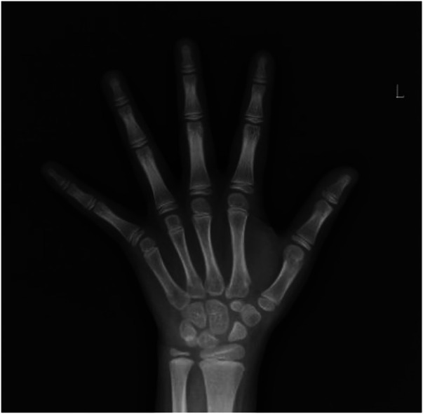 Figure 6