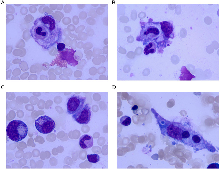 Figure 1