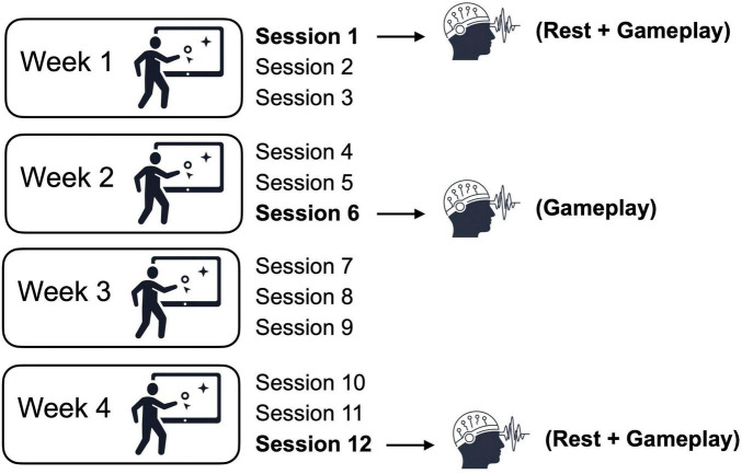 FIGURE 1