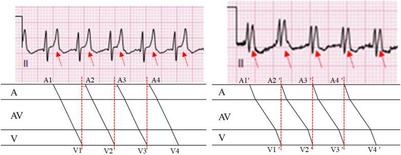 Figure 4