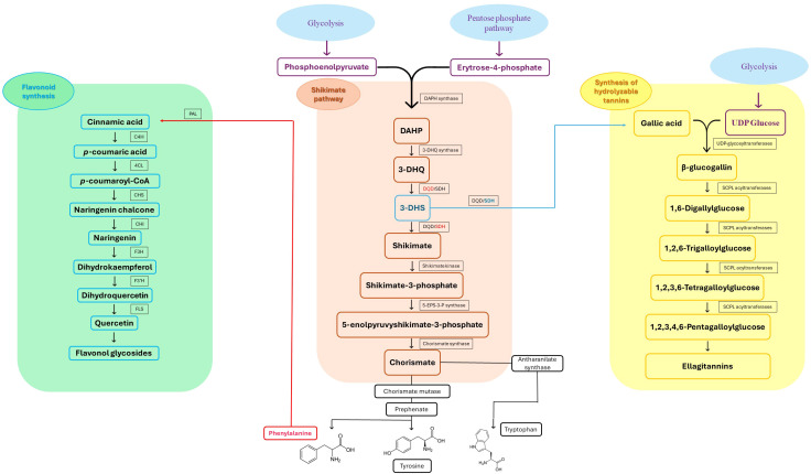 Figure 2
