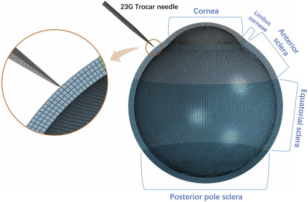 FIGURE 3