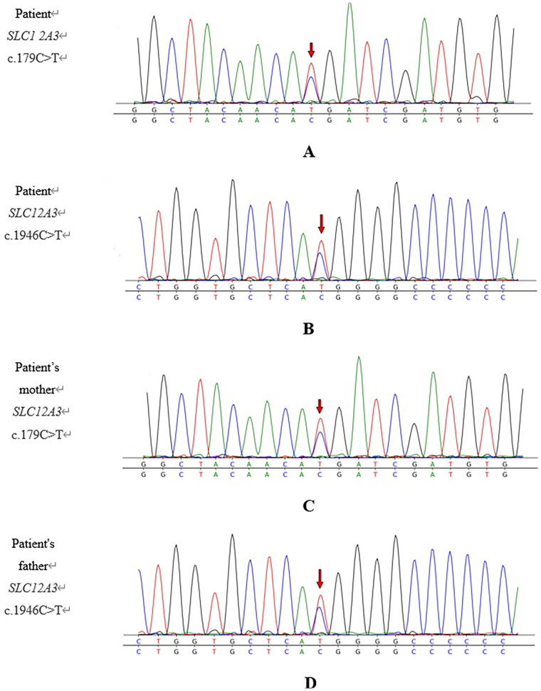 Figure 2
