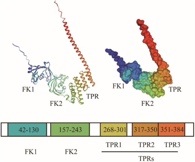 FIGURE 1