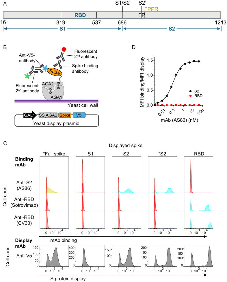Figure 1