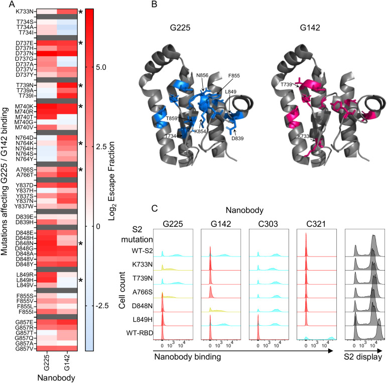 Figure 6