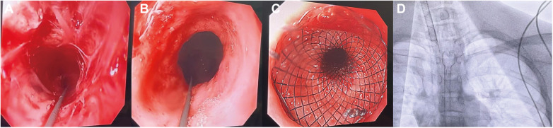 Figure 3