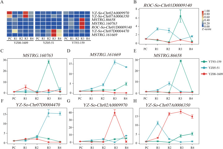 Figure 6