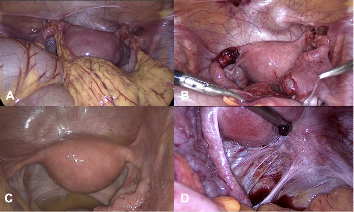 Figure 2