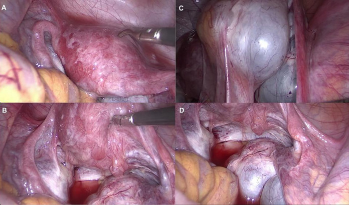 Figure 3