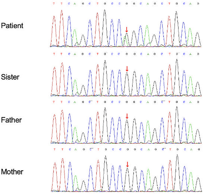 Figure 2