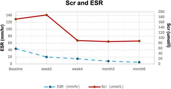 Figure 3