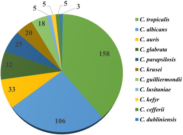 Figure 2