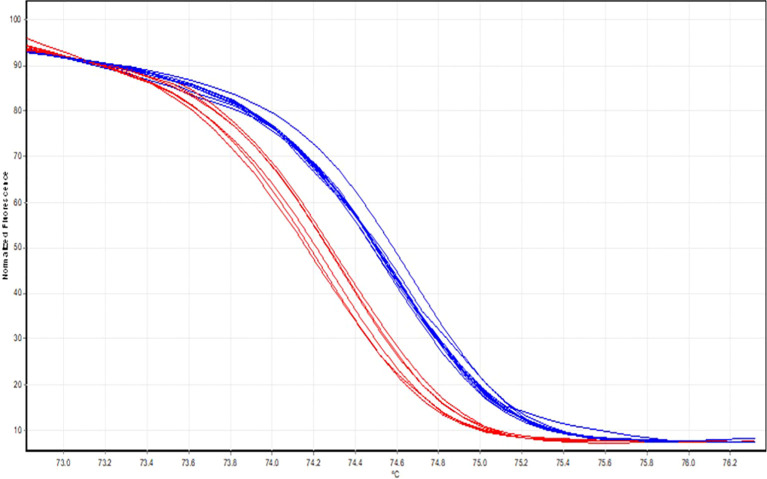 Figure 5