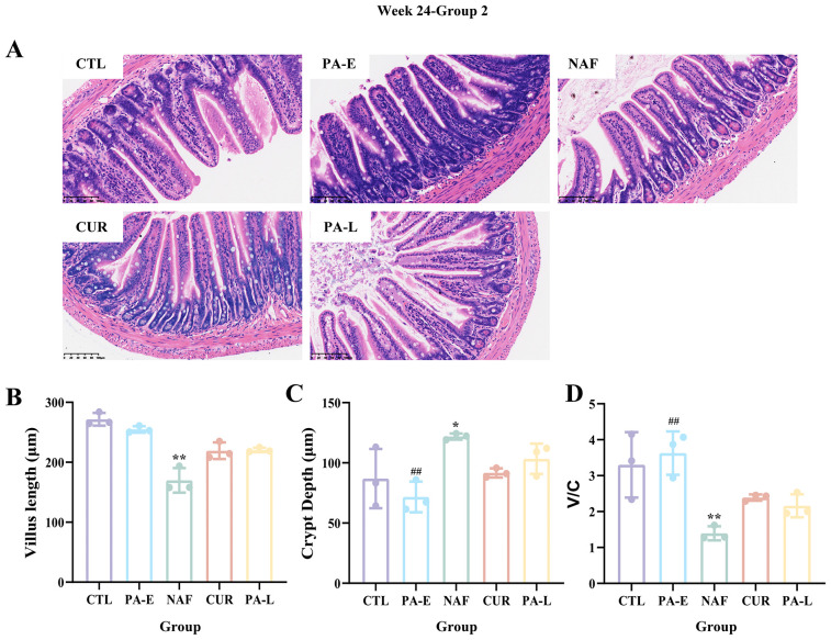 Figure 3