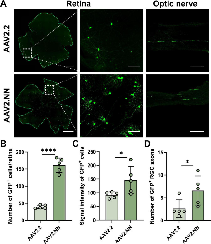FIGURE 4