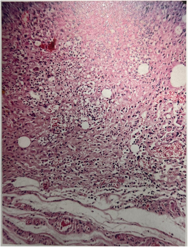 Figure 4