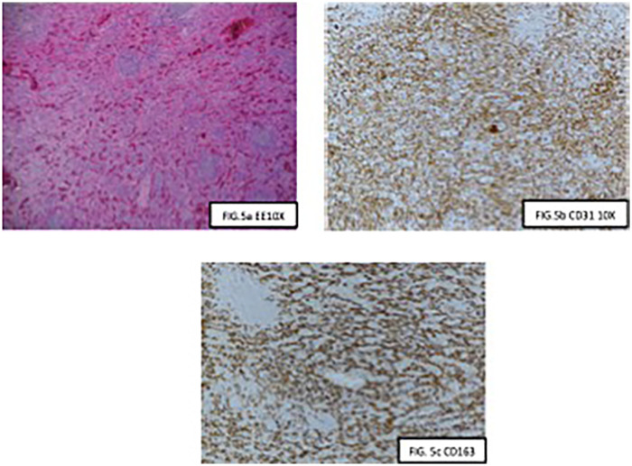 Figure 5