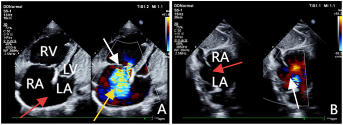 Figure 1
