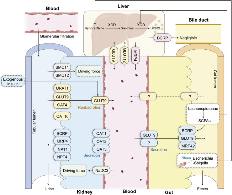 FIGURE 1