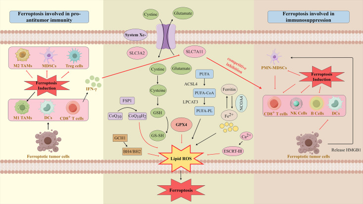 Figure 10